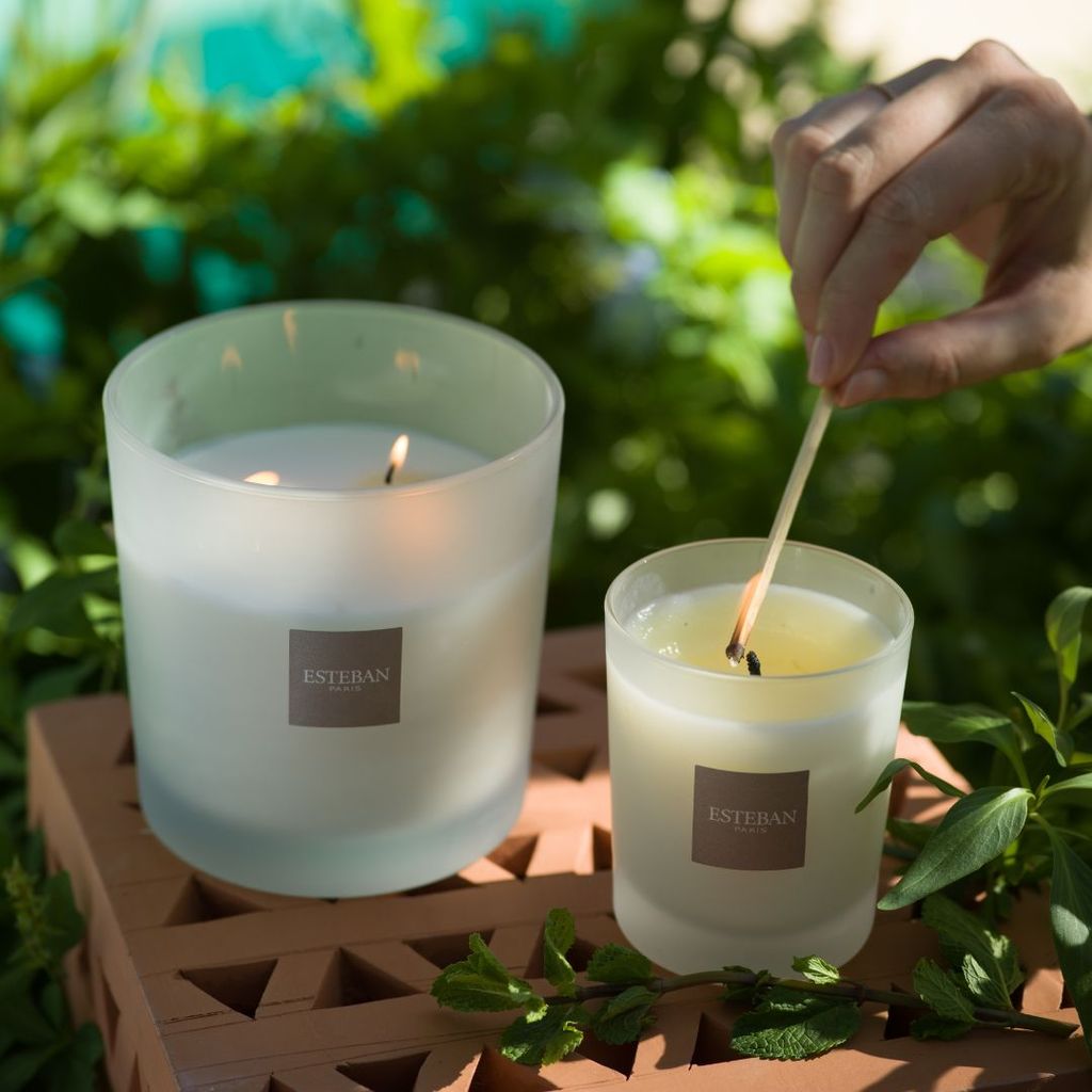 Bougie Géante Citronnelle Diptyque - Neuve En Pot Céramique